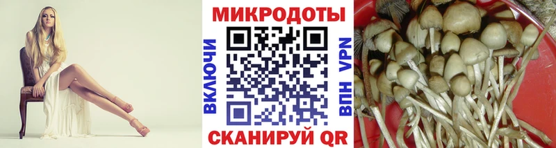 наркотики  Костомукша  Псилоцибиновые грибы Psilocybe 
